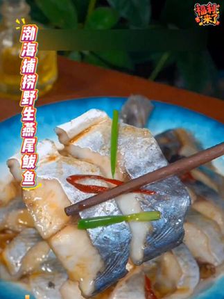 深海捕捞野生鲅鱼~新鲜收货;速冻冷链发货!新鲜到你家,做红烧;香煎;清蒸鲅鱼,肉质鲜美,营养丰富,色香味俱全,#海鲜原产地 #喜欢吃海鲜的拼手速去抢吧!