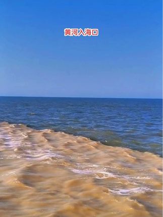 #黄河 #黄河边看黄河