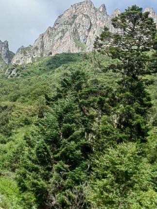 第 307 集 | 姑娘让老板假装男朋友,结果出乎意料 #剧情 #剧情有好货 #正能量 #早餐 #冲饮 @DOU+上热门