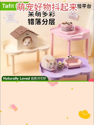 它适考拉仓鼠平台金丝熊二层平台造景家具解闷玩具多功能用品大全#好物推荐🔥 #宠物用品推荐 #宠物出道计划 #好东西一起分享