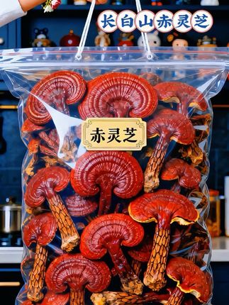 汲取长白山天地精华,成就每一朵赤灵芝。形韵饱满,菌香自溢。可煮于茶,可融于汤,可酝于9,以草木本心,滋养现代生活。#土特产干货 #赤灵芝 #健康食材 #每日分享 #快来一起尝个鲜 @抖加🔥上热门🔥dou+🔥热点宝 @上热门🔥🔥🔥 @抖音创作小助手
