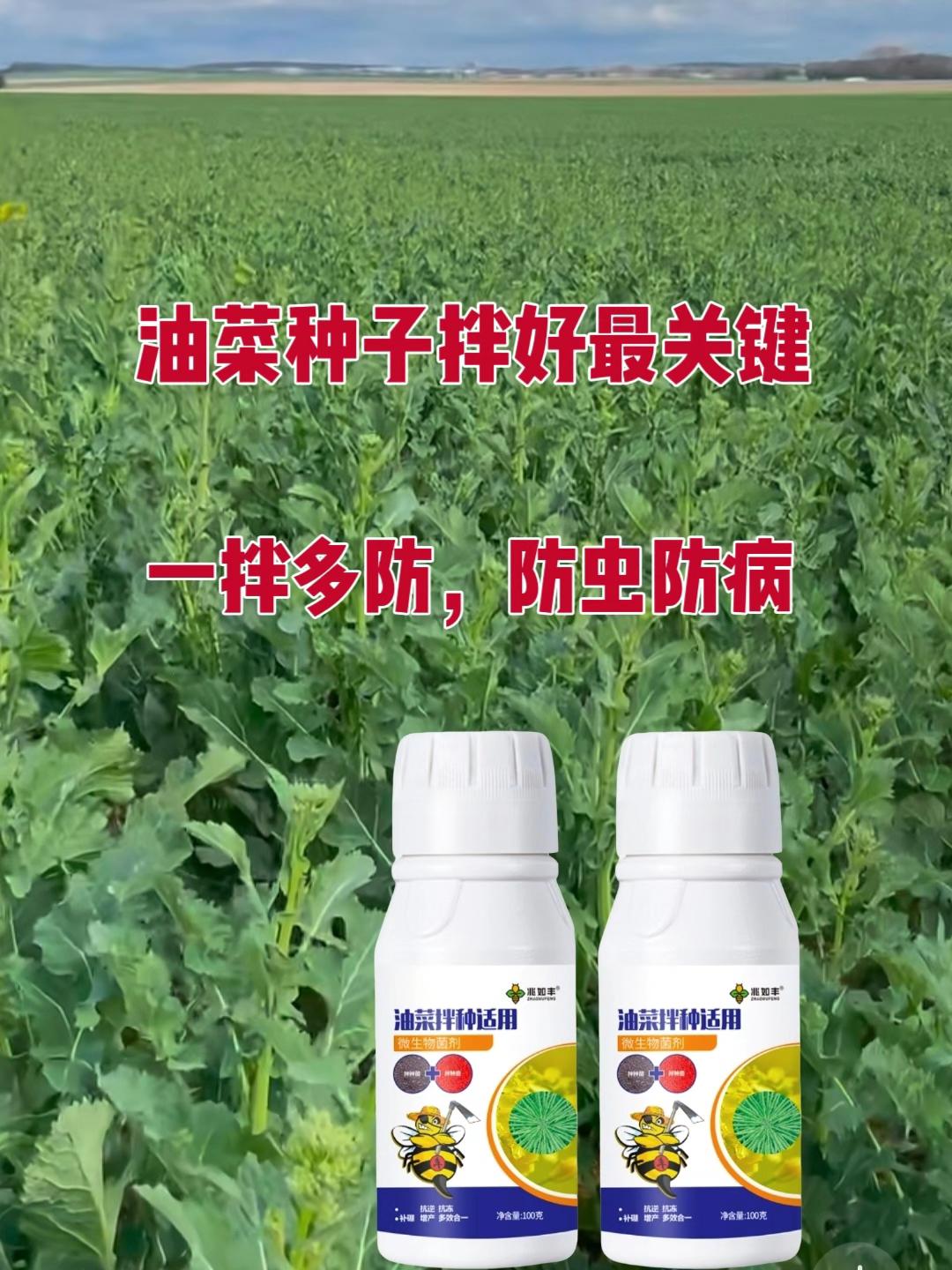 油菜种植户看过来!兆如丰油菜拌种剂,含枯草芽孢杆菌,是微生物菌剂。能补硼增产,激发油菜细胞活性,增强抗寒、抗旱等能力,还能改良土壤。#拉#用它拌种,助力油菜健康生长,稳产又高产,种油菜选它准没错~#拌好种子最重要#种子拌好提升产量#防虫防病