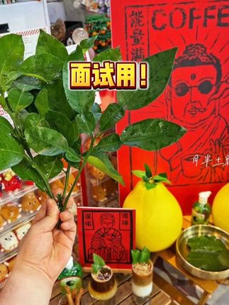 #碌柚叶#万万没想到 #强烈推荐 #看到最后 一开始只把它当香水喷没想到...
