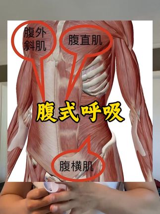 每天100下,腹部力量的训练可以面对全身,一起试一试吧#居家锻炼 #腹式呼吸 #呼吸哑铃 #健身 #腹部