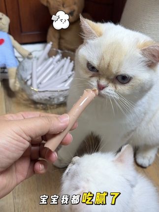 毛孩子吃的火腿肠,还是鸭肉搭配上鳕鱼,毛孩子嘎嘎炫#宠物零食#鸭肉鳕鱼肠#萌宠好物 #科学养宠攻略 #养猫新手