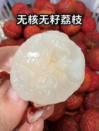 无核无籽荔枝,皮薄肉厚,清甜多汁#快来一起尝个鲜#荔枝#口感特别好 #新鲜采摘#无籽无核荔枝