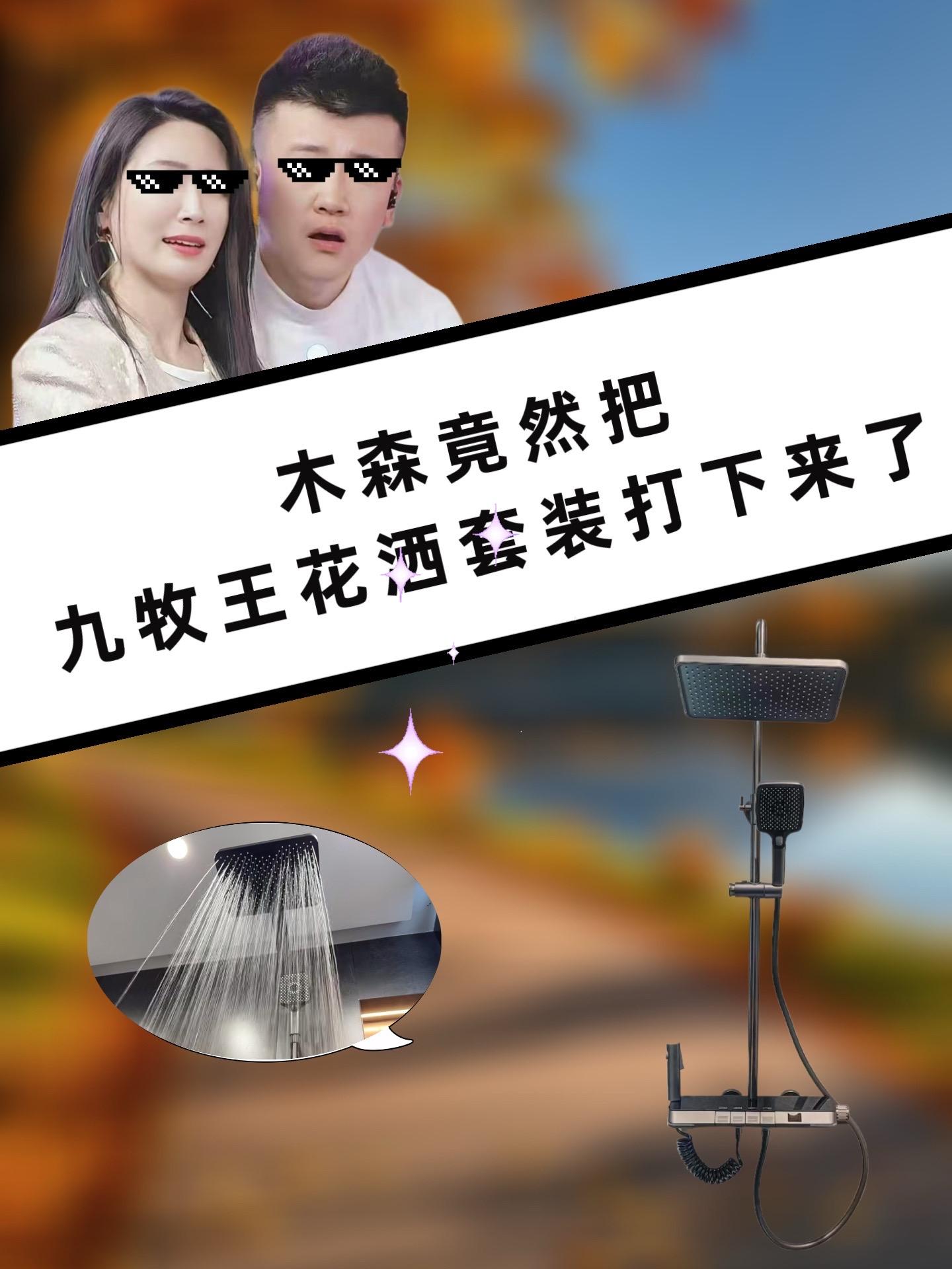 降价了!降价了!大哥们,你们要的恒温花洒套装现在来福利了!#强烈推荐 #实用小技巧 #每日分享 #木森 #花洒
