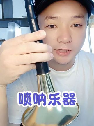 专业演奏唢呐乐器#唢呐 #唢呐演奏 #唢呐一响燃爆全场 #唢呐一出谁敢争锋 #唢呐乐器