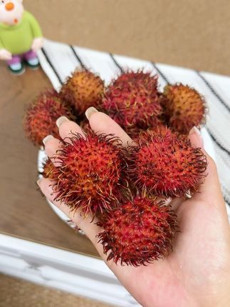 这么好吃的水果每年只有这个时候才能吃到!就是这个红毛丹!一口爆汁!清甜爽口#红毛丹 #新鲜应季水果 #水果 #好吃到停不下来 #谁懂这一口的好吃程度