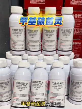 甲基硫菌灵,又被称为甲托,它是一款保护性的杀菌剂,具有内吸预防和治疗的作用,对于多种作物的白粉病、锈病、炭焗病、褐斑病、双霉病、夜斑病、纹枯病。降温病等一百多种真菌病害都有很好的防治作用。一瓶五百克兑水一千五百斤,#甲基硫菌灵 #病虫害防治 #三农种植 #农资肥料 #科学种植