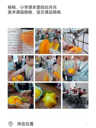 杨桃,课本里的“白月光”,终于在课堂上开出了五角星⭐
小时候读《画杨桃》,只觉得课文里的五角星很神奇。如今站在讲台上,陪着孩子们亲手切开杨桃看到他们满怀期待,眼底闪光的那一刻,我才真正懂了:
有趣的课不能只局限于课本,让孩子亲眼看见、亲手触摸、亲身体会才更有意义。就如同那些我们讲过很多遍的道理,都不如一次真实的体验来得深刻。
平时强调几遍的事可能转头就忘,今天只教一遍怎样削杨桃却能一次过
平时一打下课铃就想冲出教室的同学,这节课硬是没离开过教室……
果然,小朋友的好奇心才是最有潜力的,那就㊗️愿可可爱爱的你们,能永远带着这份好奇,去探索、去感受、去热爱。