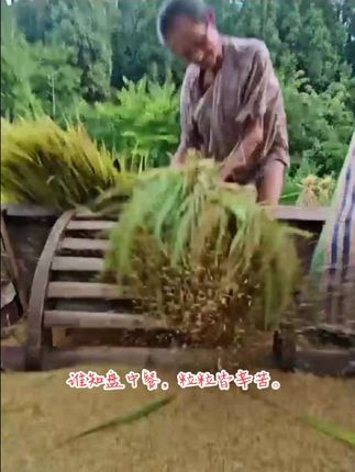 #小美满和乡村生活的适配度 #农村生活#我的乡村生活 #三农#惬意的农村生活