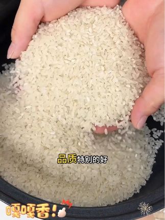 #好物推荐🔥 东北大米