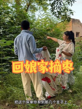 这几天连着都有雨,今天回娘家把剩下的枣给摘回来,坏到树上挺可惜的,有机会碰到卖树的, 把院子里面的树卖了,明年种成果树,不知道能不能行#老房子的回忆 #农村小院 #丰收的季节