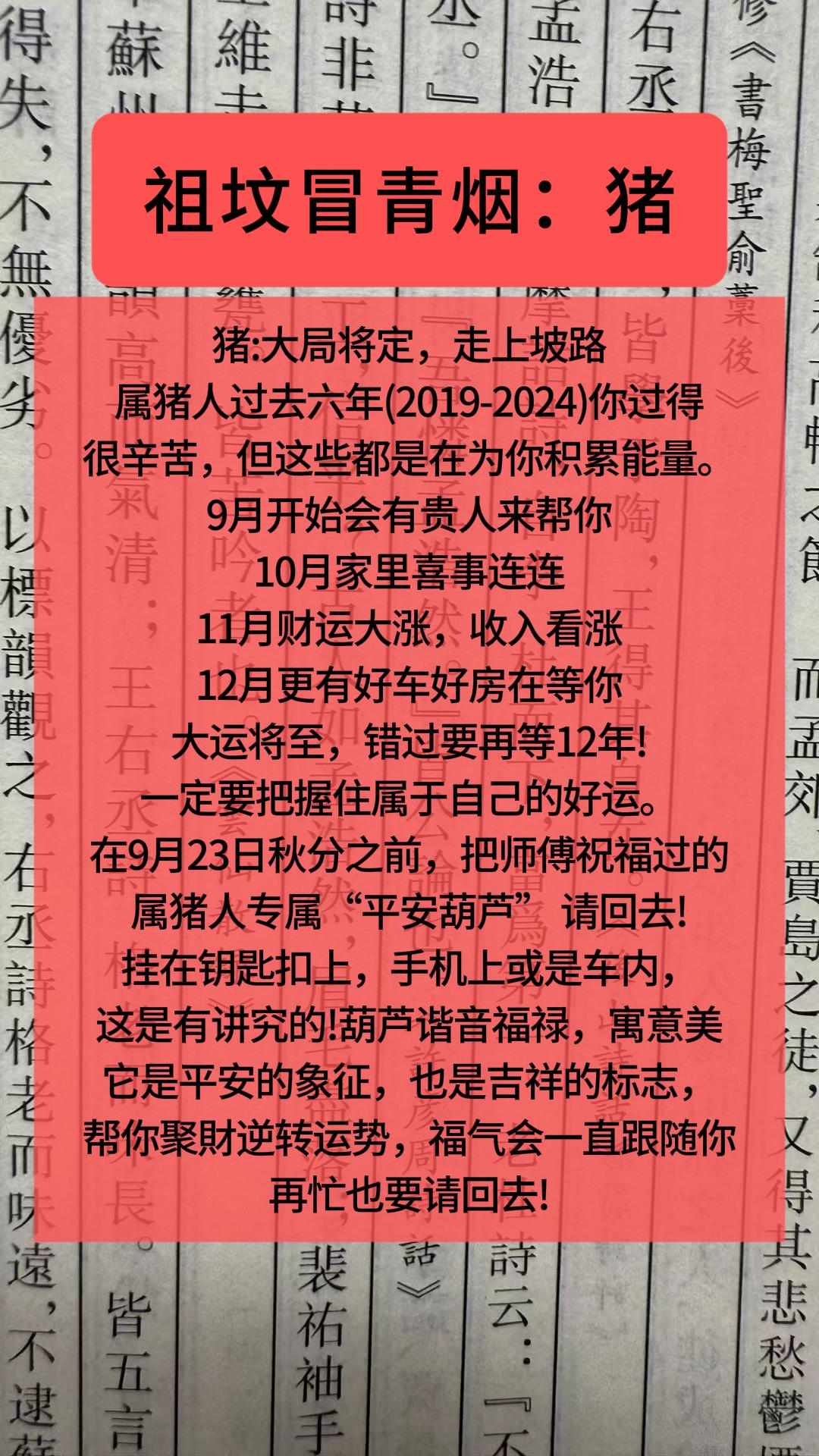 #猪 #属猪 #生肖猪