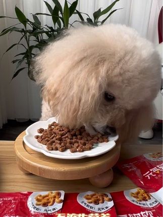 日和优宠椰子鸡元气软软粮,没牙的老年犬都可以吃,蛋白低脂肪好消化易吸收,胖狗狗也能放心吃,趁活动快给家里挑食小狗也尝尝,现在下单还送月饼模具! #狗粮 #软狗粮 #日和优宠 #元气软软老年犬软粮#萌宠好物