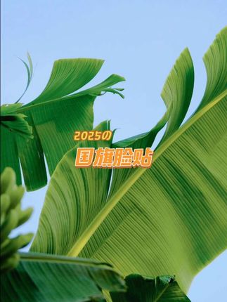 #国旗贴纸 #国庆贴纸 #国庆节 #儿童贴纸 #仪式感