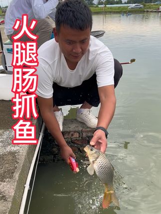 大哥:还是火腿肠抓鱼快!