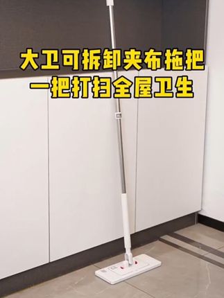 家用平板拖把,干湿两用洁净加倍,让家务不再繁重,享受干净清爽 #创作灵感#懒人拖把 #大卫拖把 #家居好物 #超值购