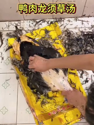 #为你煲汤 #煲汤#闽南美食#闽南语#龙须草
