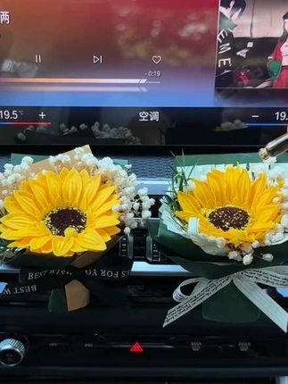 谁能拒绝这样的浪漫,快艾特你大哥送你秋天的第一束花!特殊工艺永不凋谢,放在车里仪式感满满,还是车载香薰哦!#车载香薰#永生干花#生的车内饰#新年礼物
