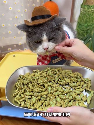 满3个月就要定期排毛了,酥脆磨牙的猫草饼干,猫咪嘎嘎吃!#萌宠好物 #宠物零食 #猫草饼干