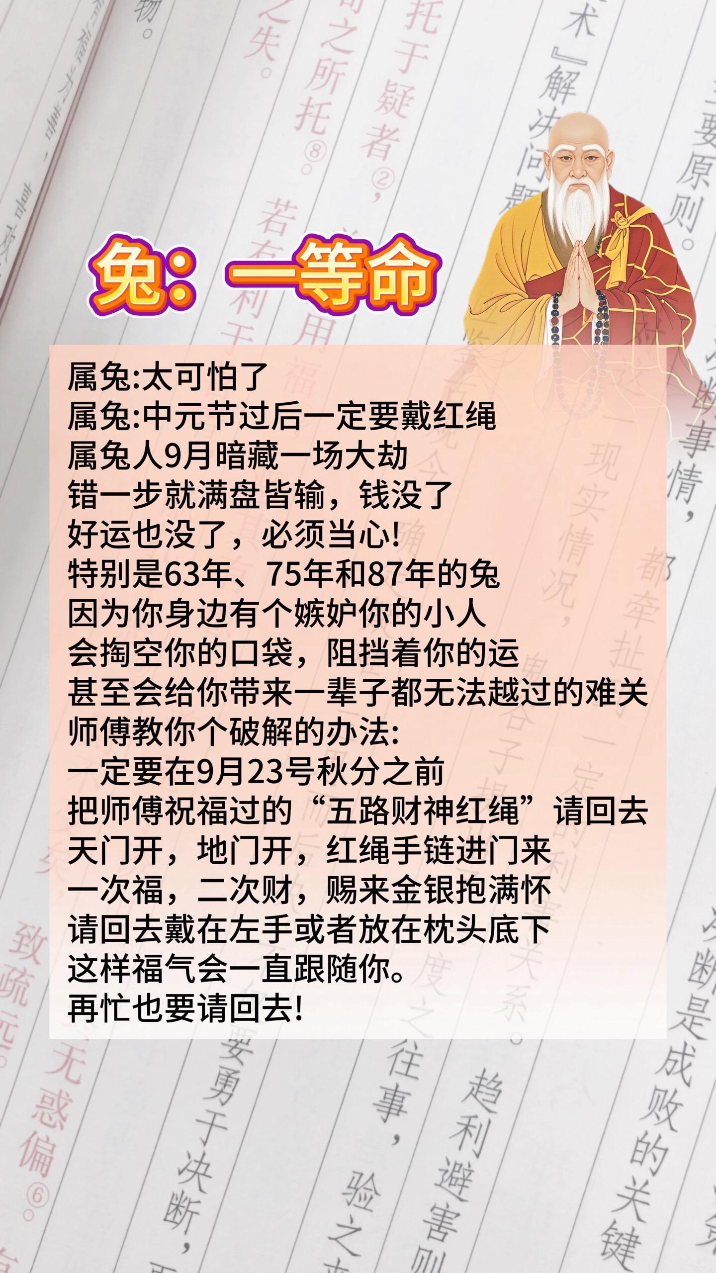#兔