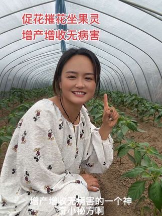促花摧花坐果灵,预防植物因恶劣天气,连续阴雨天,和持续高温造成的,坐果失败,落花落果等现象,效果真的很不错,分享给大家,适合各种瓜果,能用得到的家人们,放心入#自用好物分享 #促花催花坐果灵 #增产增收效果好