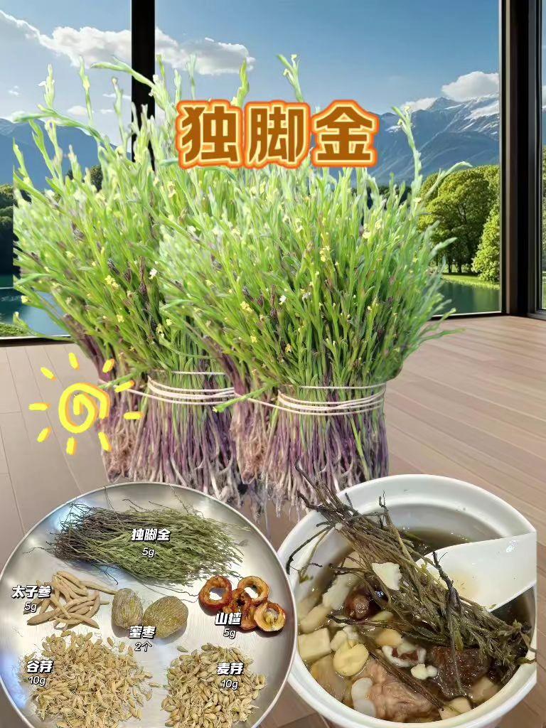 #独脚金#干货