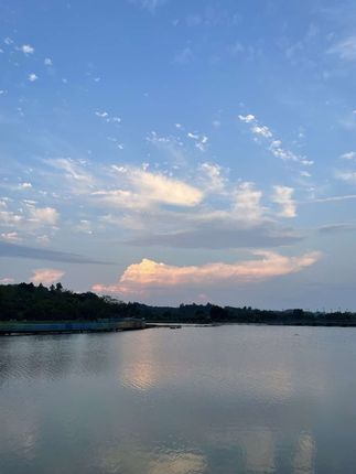 #张予曦毕雯珺真拍了红裙抱#深情眼 #张予曦 #毕雯珺