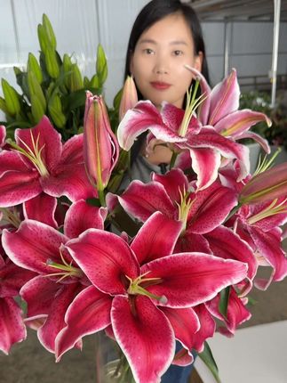 插一瓶鲜花在窗台,阳光漫进来时,连呼吸都带着清甜。#居家插花 #鲜花绿植 #今日分享 #我要上热门🔥