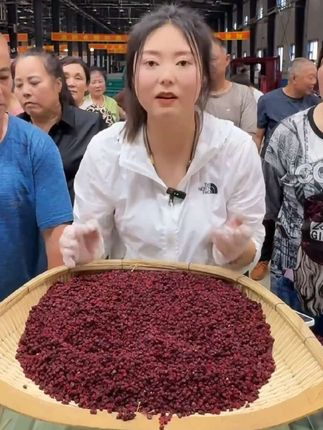 北五味子材250/500g长白山北五味子辽宁泡茶泡酒油籽深山#北五味 #北五味子 #嘎嘎好吃 #快来一起尝个鲜 #土特产