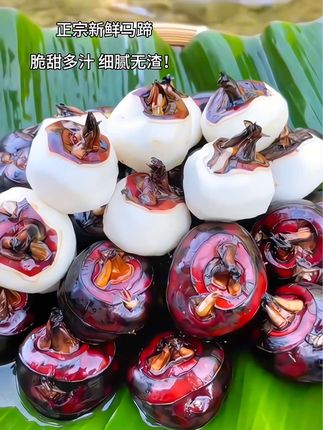 正宗新鲜马蹄! 新鲜应季地下水果! 儿时的味道!脆甜多汁! 生吃、炒着吃、做马蹄糕点都非常好吃! #马蹄#口感特别好#好吃到停不下来#儿时的味道#优质农产品