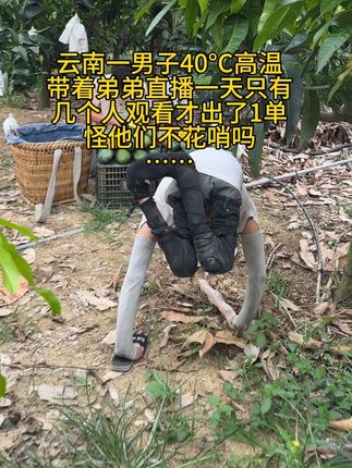#凯特芒果