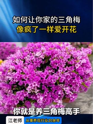 大语文时代,语文考试知识面非常灵活,一定要帮孩子多积累这些百科常识#育儿#家庭教育 #百科知识#文学常识