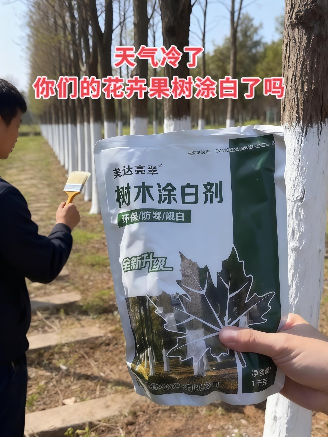 树干涂白剂来啦!天一转凉,就要的果树树干涂白了#树干涂干涂白#树木涂白#树木家庭种植#抖音助农@抖加🔥上热门🔥dou+🔥热点宝