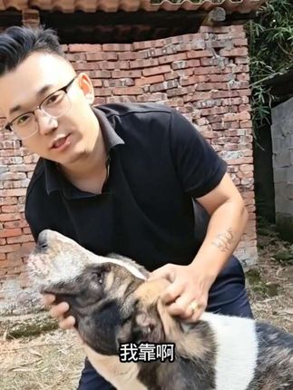 狗狗驱虫方法