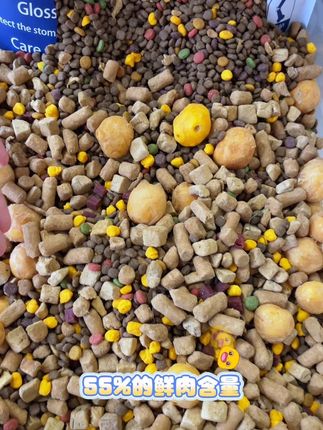 选狗粮真是个技术活便宜的不敢买贵的又没有性价比 那你不妨来看看我家这款赛狼冻干十拼犬粮#狗粮推荐 #性价比超高