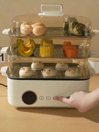 志高电蒸锅多功能三层不锈钢蒸箱家用蒸煮炖一体锅小型多层电蒸笼#多功能电蒸锅 #家用蒸煮炖一体电蒸锅