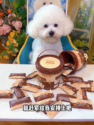 狗狗的关节问题一定要尽早关注,千万别等到出大问题了才后悔#狗狗关节养护 #新手养狗 #鲜粮说骨力充值 #科学养宠攻略