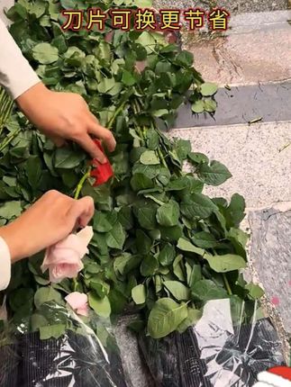 园艺打刺剪刀#去叶修枝园艺多功能用推荐