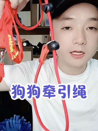 狗狗牵引绳遛狗绳#遛狗绳 #牵引绳 #牵引绳是狗的生命线 #宠物牵引绳