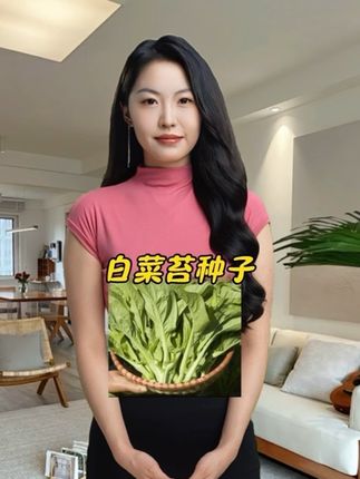 #白菜苔种子#白菜苔种植#蔬菜种子#超便宜超划算#在抖音入手的好东西