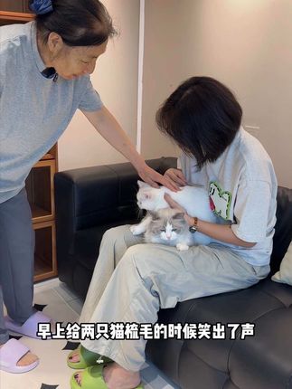 我也没想到猫咪掉毛减少这么明显,马上把鱼油全换成D生物素了#猫咪掉毛 #宠物掉毛 #科学养宠攻略
