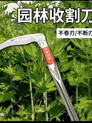 农用长柄镰刀玉米收割除草割草镰刀割稻谷割韭菜多功能 #农用工具 #镰刀#实用好物 @好东西大家一起分享 @D0U十小助手