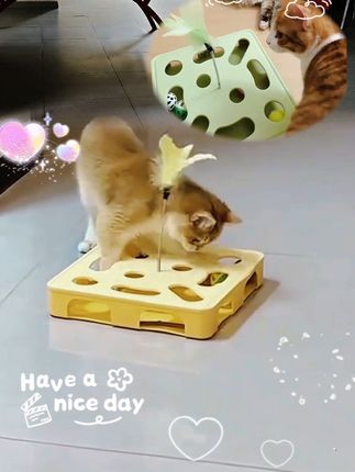 别让猫主子无聊发呆挠窗帘!掏掏乐打地鼠玩具超吸猫,抠洞戳“鼠”超解压,上面还有一个羽毛逗猫棒充分释放猫咪捕猎天性#罗姐分享#猫玩具#逗猫神器#掏掏乐打地鼠#萌宠出道计划@DOU+小助手