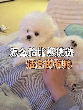 怎么给比熊挑选适合的狗粮? #比熊狗粮推荐 #比熊犬 #狗粮推荐