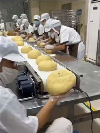 #传统糕点 #月饼 #五仁叉烧广式大月饼
