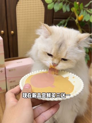 要不是买一盒主食奶昔包送这个粉色陶瓷锅、我才不会花这几十块钱呢!新品尝鲜买三送一呢#养宠好物 #格吾安 #格吾安罐头