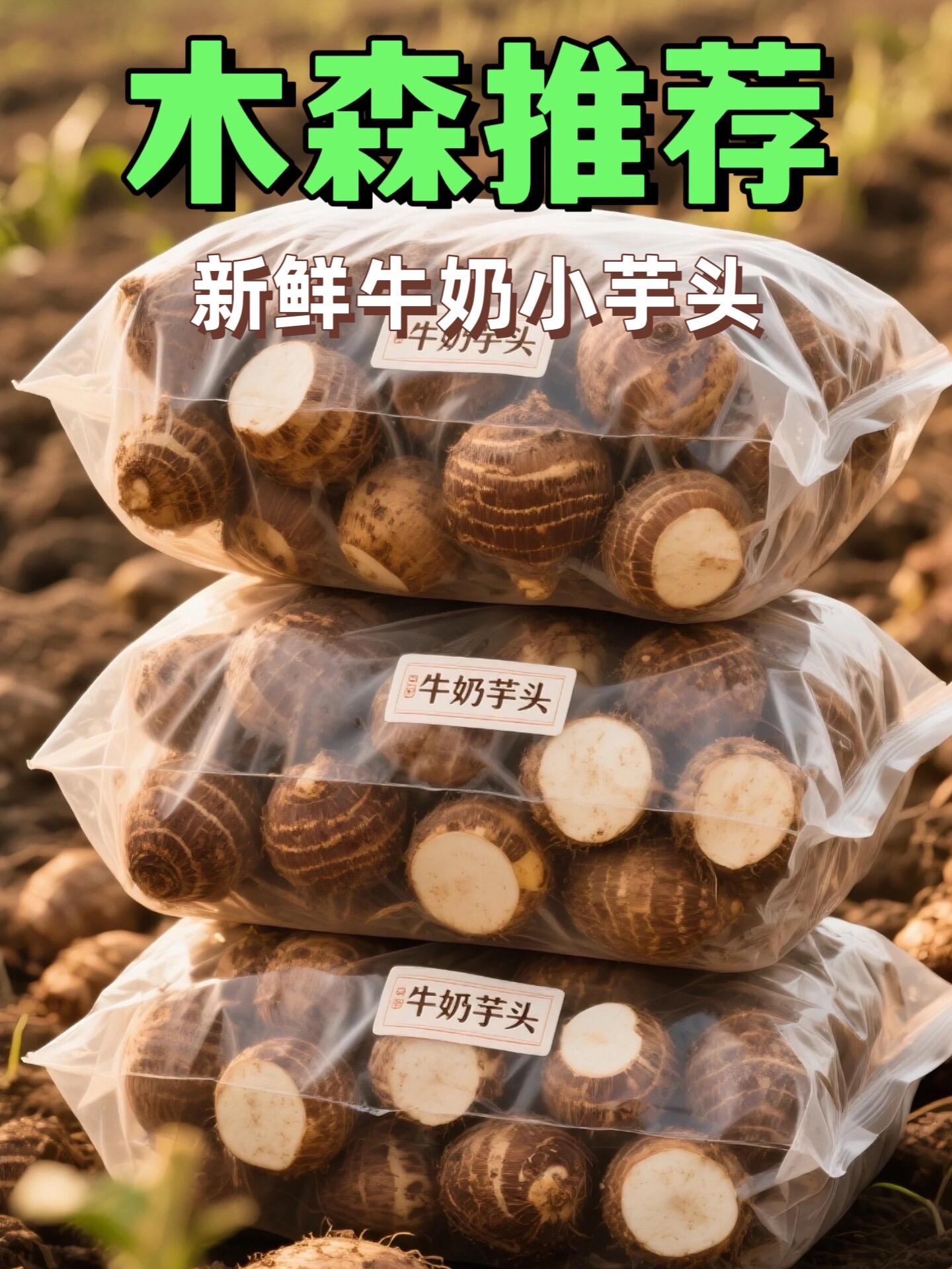 这款云南牛奶小芋头!农家自种现挖的,新鲜到能闻到泥土香,削皮后内里奶白细腻。#牛奶芋头 #芋头 #牛奶小芋头 #软糯香甜 #好吃到停不下来